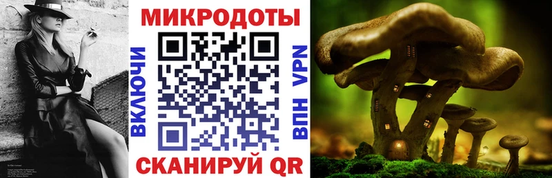 Псилоцибиновые грибы Psilocybe  даркнет сайт  Бор 