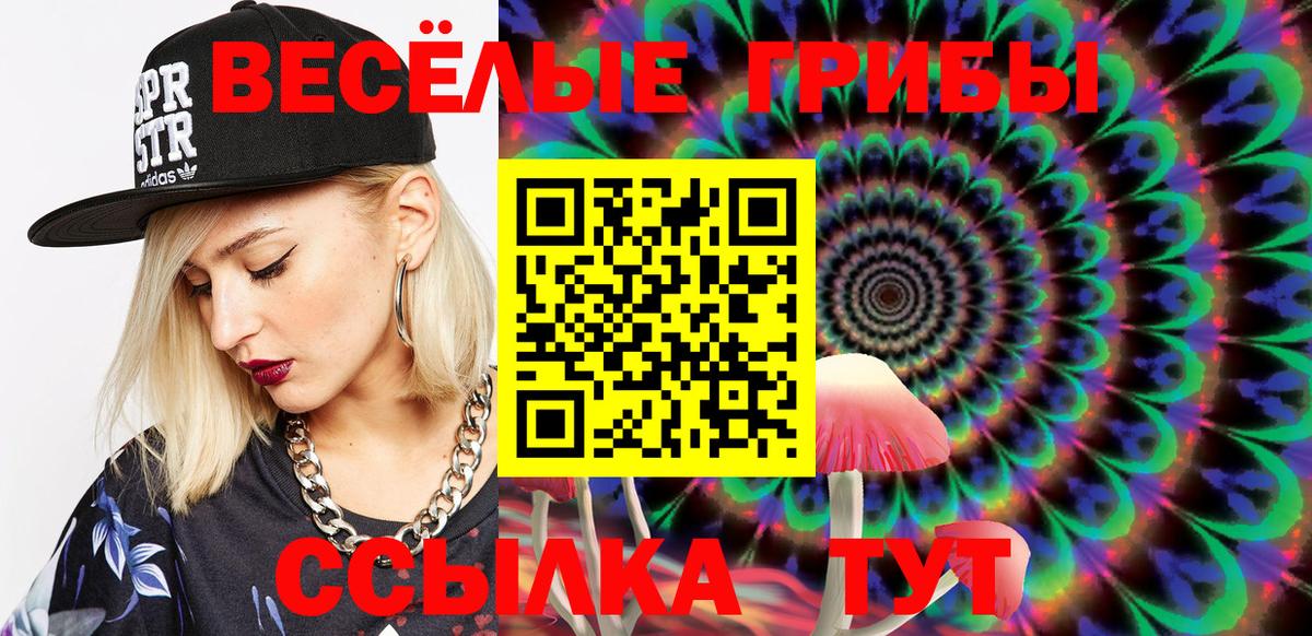 Галлюциногенные грибы Psilocybe Бор