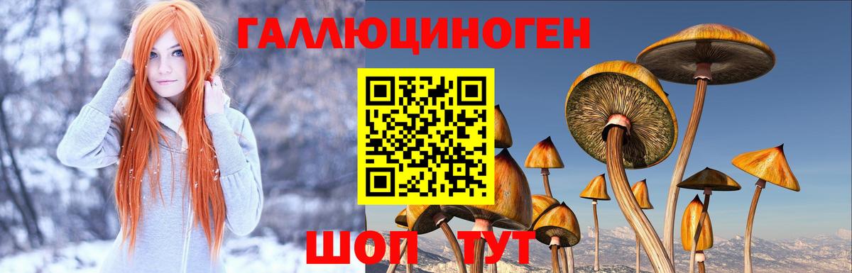 Бор  Галлюциногенные грибы Psilocybe  Вход с VPN  Галлюциногенные грибы MAGIC MUSHROOMS 